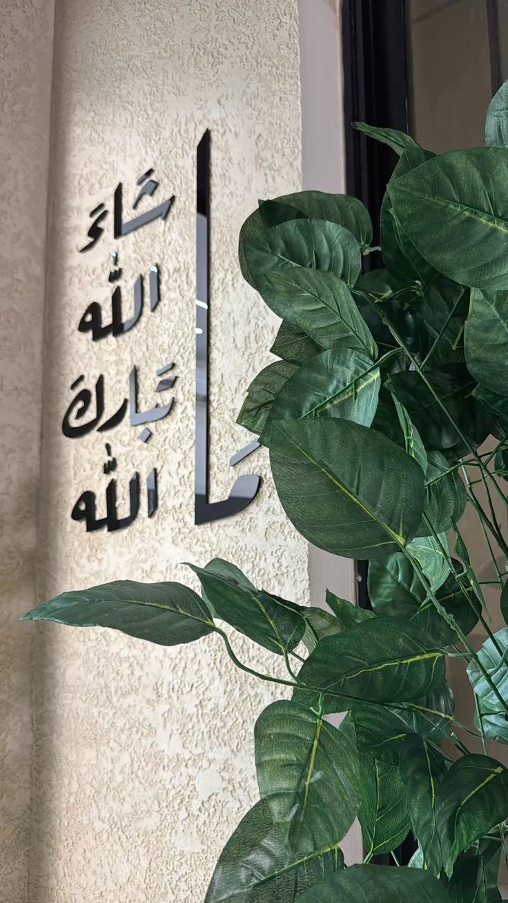 ⚜ "ما شاء الله تبارك الله"